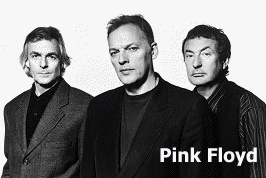 pinkpolar